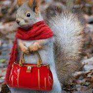 Roxana Elena Humeniuc