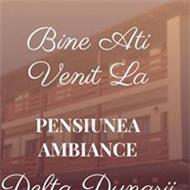 Pensiunea Ambiance Pensiunea Ambiance