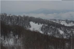 Neculai Valentin