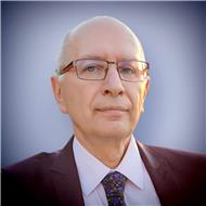 Constantinescu Octavian