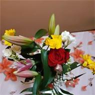 Ileana Si Gusti Costin