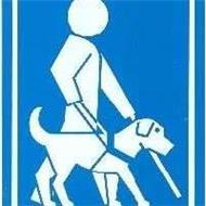 Filiala Arges Asociatia Nevazatorilor