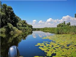 excursiimurighiol.ro