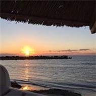 Popa Andreea Mihaela