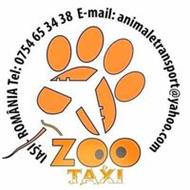 zootaxi