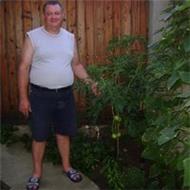 Interglass Motor Srl