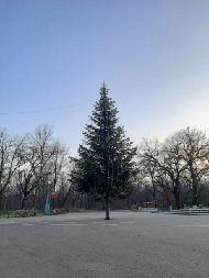 Stana Claudiu Nicolas