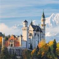 Baciu Iulian Nicolae