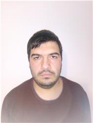 Gheorghe Mihai Bogdan