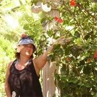 Monica Rodica Neamtu