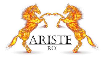 ariste srl