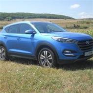 Moldovan Tomis Florin