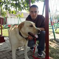 Ionel R
