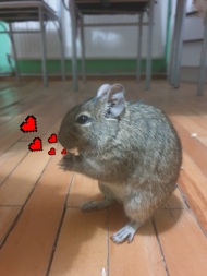 Andrei