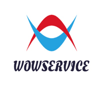 WOWSERVICE - Professional IT Services