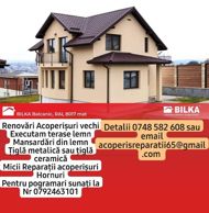 Acoperiș Reparații