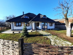 iulian Gelu Aparaschivei