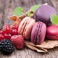 Nicomel Import Export