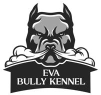 Eva Bully Kennel 
