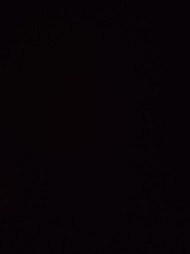 S_Alex