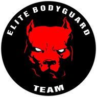 Elite Bodyguard Team