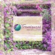 Agentia de traduceri Translexical