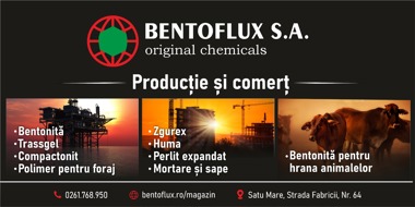 Bentoflux