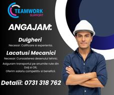 Angajari TeamWork Support