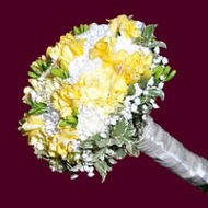 Apostol Cristina Mirabella