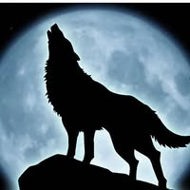 Vestemeanu Alexandru