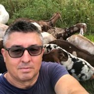 Ferma De Capre Nubian-Bor