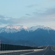 Daniela Constantinescu