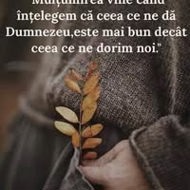 ioan.petru