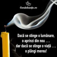 David Stroia