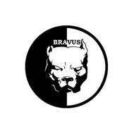 Bravus Tuning