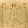 vitruvian11 