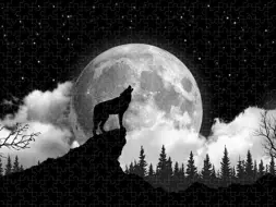 Wild Spirit Kennel Sibiu