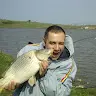 viorel habarus