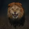 Victor 
