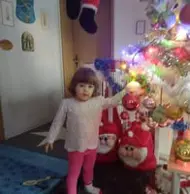 Florin Valentin Gîju