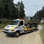 voichescumadalin_1985