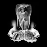 ionut