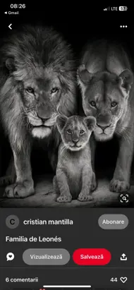 Bogdan Cristian Bogatu