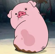 Boboc Alexandru Viorel