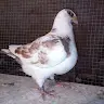 arttyn268626
