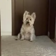 Enea Andreea Nicoleta