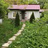 nelu monoreanu