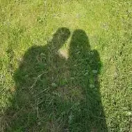 malinescusilviuandrei