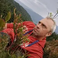 Ovidiu