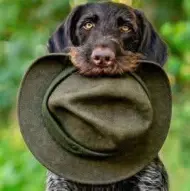 Trifu Cristian Delius